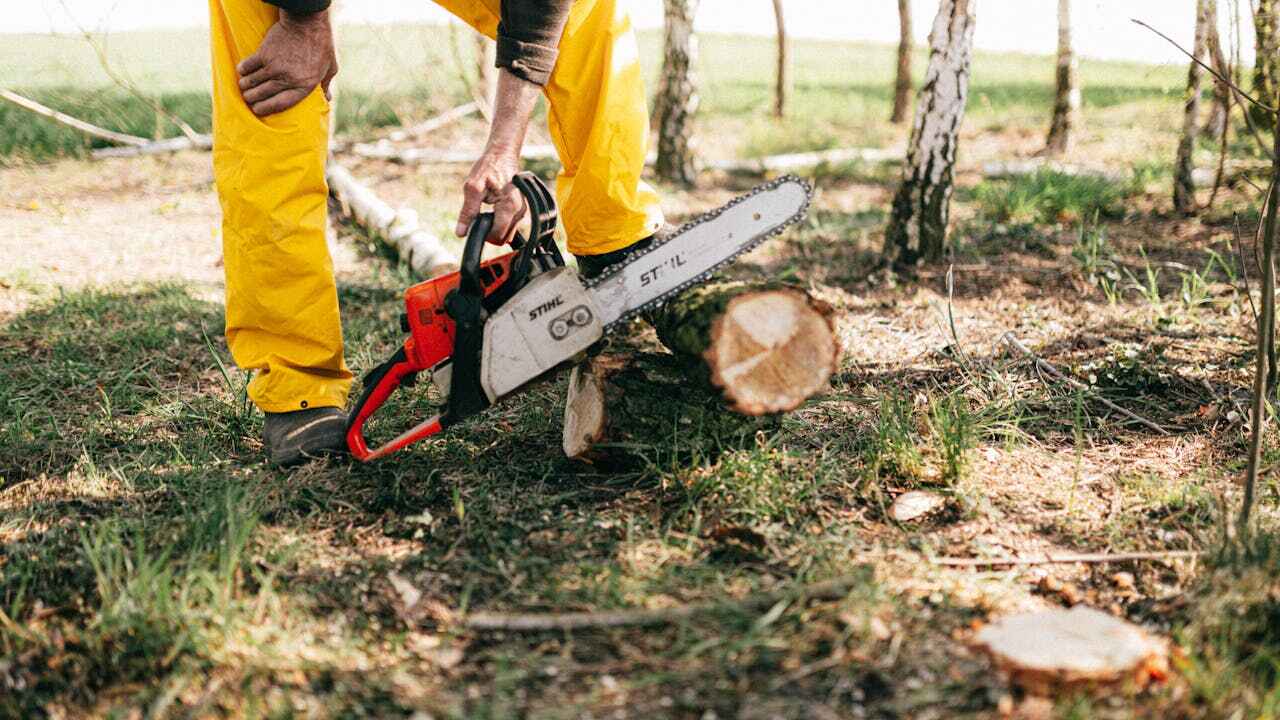 Best Tree Trimming Near Me  in Kosciusko, MS